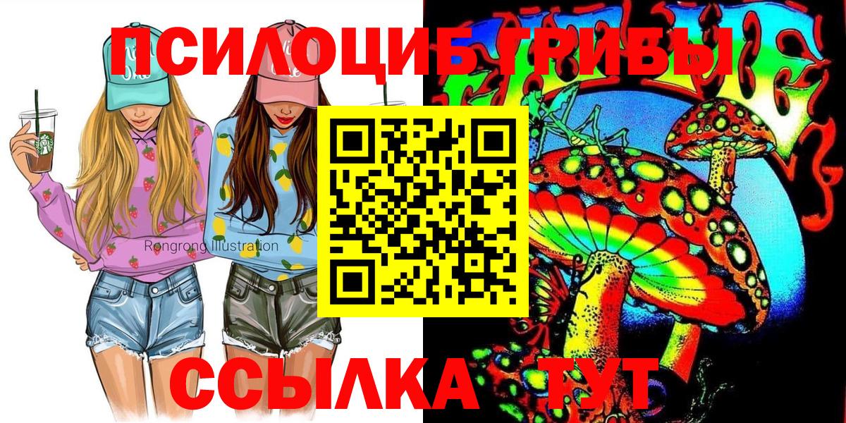 Псилоцибиновые грибы Psilocybine cubensis  Вход с VPN  наркотики  Находка 